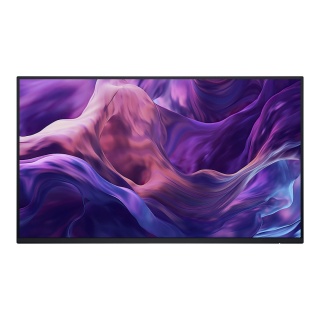 Monitor Dell Pro 23,8" Plus P2425HE(210-BMTC) bez podstawy IPS FHD 100Hz HDMI 2xDP HUB RJ45
