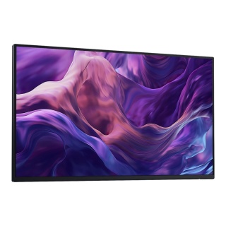 Monitor Dell Pro 23,8" Plus P2425HE(210-BMTC) bez podstawy IPS FHD 100Hz HDMI 2xDP HUB RJ45