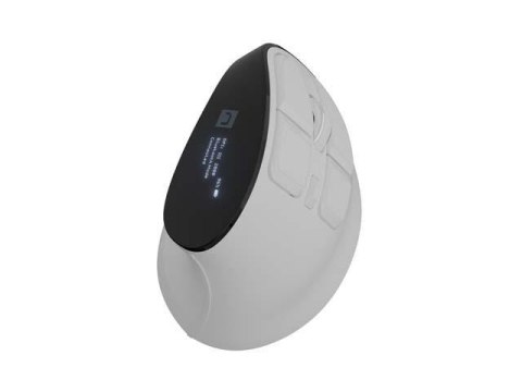 Mysz bezprzewodowa Natec Euphonie Pro wertykalna BT 5.0 2400DPI cicha programowalna biała